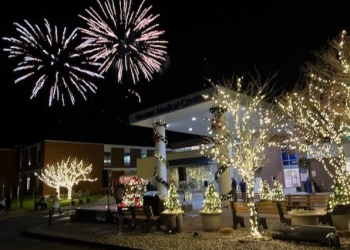 2024 Festival of Lights Collage