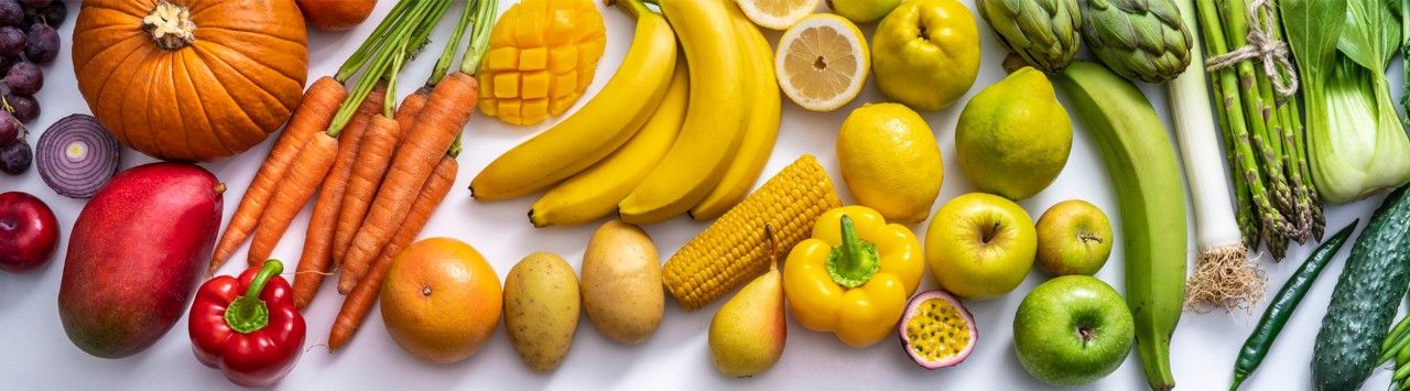 Nutrición y Estilo de Vida Saludable para la Prevención del Cáncer  