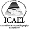 ICAEL-100x100